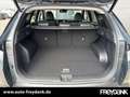 Hyundai TUCSON 1.6 T-GDI 7-DCT 2WD Prime Assistenz Pano ECS Grün - thumbnail 9