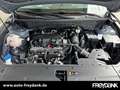 Hyundai TUCSON 1.6 T-GDI 7-DCT 2WD Prime Assistenz Pano ECS Grün - thumbnail 8