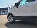 Ford EcoSport 1.0 EcoBoost 125 CV S&S Titanium Blanco - thumbnail 25