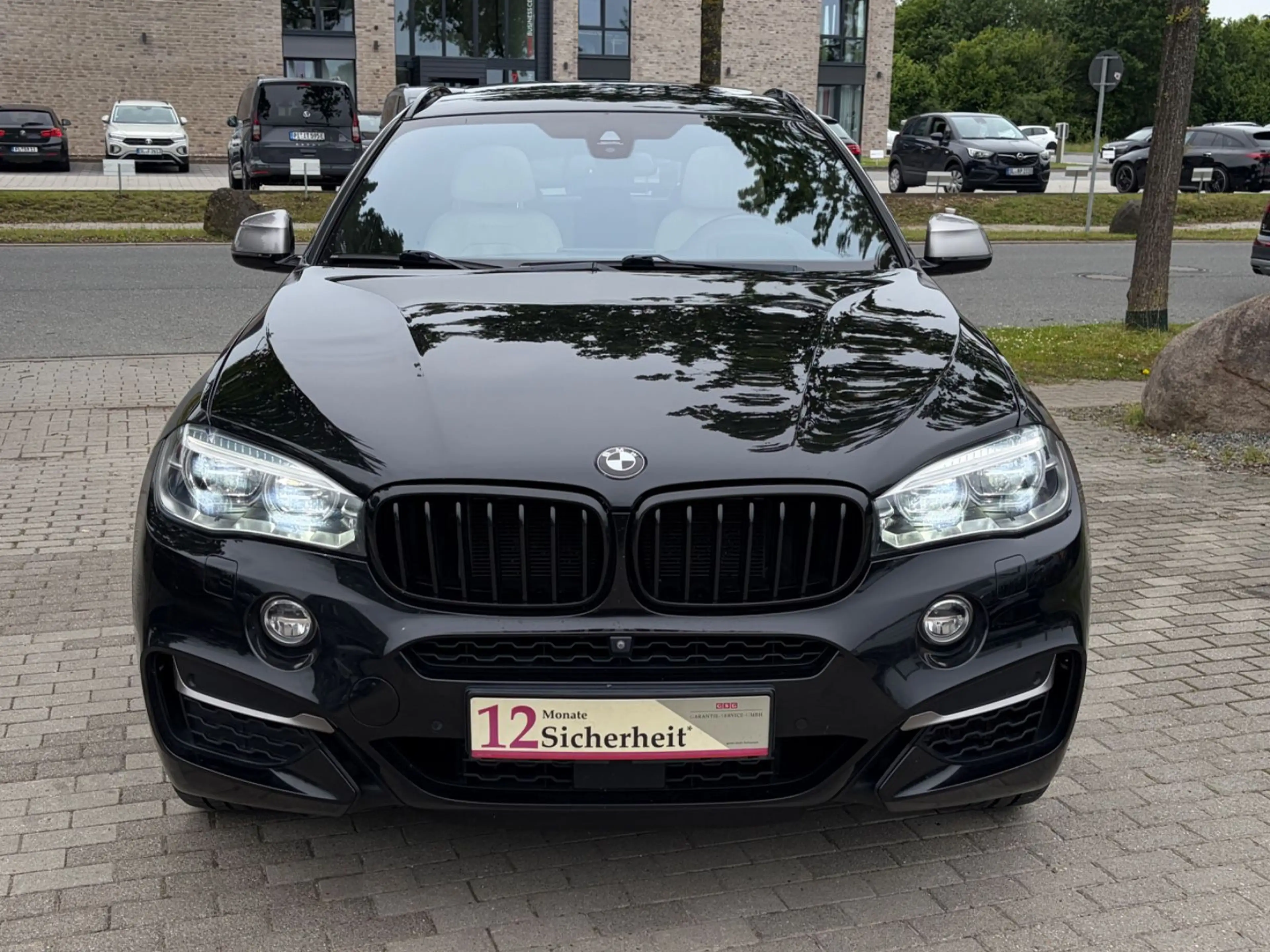 BMW X6 M50 d LED H&K Memory ACC Standhzg HuD 360° SD — photo 2