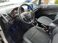 Ford EcoSport ECOSPORT 1.0 EcoBoost TITANIUM X -Navi -AHK -Xenon Silber - thumbnail 13