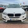 BMW X5 sDrive 25dA Weiß - thumbnail 14