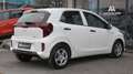Kia Picanto 1,0 DPI Titan MT5 1st Besitz | Servicegepflegt Weiß - thumbnail 6