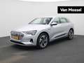 Audi e-tron 55 quattro Business edition 95 kWh | Trekhaak | Pa Gris - thumbnail 1