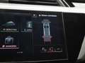 Audi e-tron 55 quattro Business edition 95 kWh | Trekhaak | Pa Gris - thumbnail 30