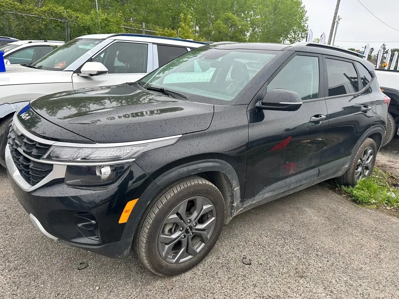 2024 Kia Seltos