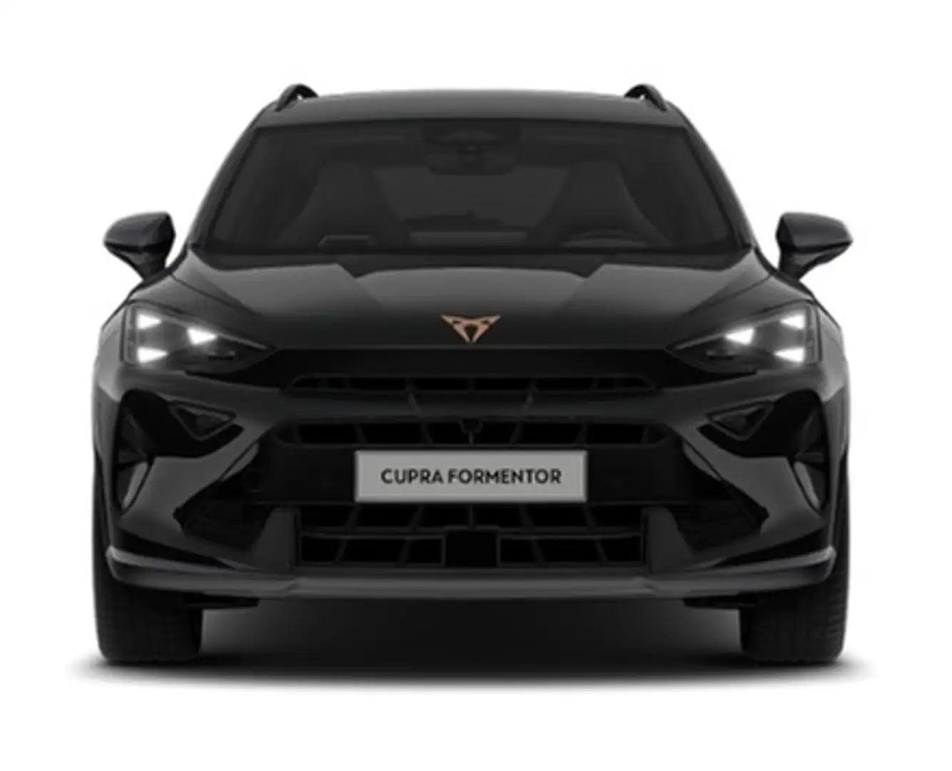 SEAT VZ 2.0 TSI 195 kW Schwarz - 2