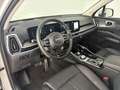 Kia Sorento 1.6 T-GDi PHEV Evolution Argento - thumbnail 12