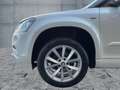 Skoda Yeti 1.2 TSI DRIVE BI-XEN+SHZ+GRA+DAB+NSW+17" Biały - thumbnail 8
