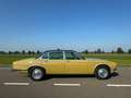 Daimler Double Six 5.3 V12 origineel NL auto, zeer lage km stand Jaune - thumbnail 9