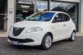 Lancia Ypsilon Ypsilon 1.2 69 CV 5 porte Gold Blanc - thumbnail 1