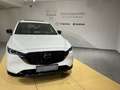 Mazda CX-5 Homura AWD Schiebedach Sitzbelüftung Leder Weiß - thumbnail 10
