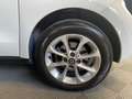 smart forFour II 2015 1.0 Youngster 71cv c/S.S. OK NEO PATENTATO Bianco - thumbnail 4