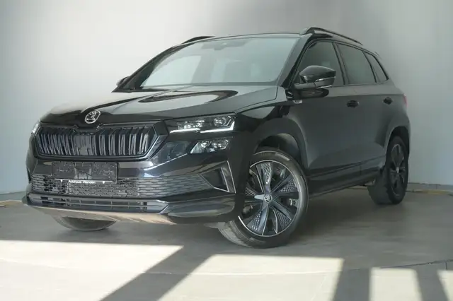 Skoda Karoq view 3