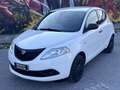 Lancia Ypsilon 1.2 Elefantino Blu s&s 69cv my19 - thumbnail 14
