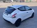 Lancia Ypsilon 1.2 Elefantino Blu s&s 69cv my19 - thumbnail 8