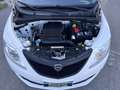Lancia Ypsilon 1.2 Elefantino Blu s&s 69cv my19 - thumbnail 7