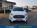 Ford EcoSport Trend 1.0 EcoBoost 100 PS-AndroidAuto-AppleCarP... Weiß - thumbnail 8