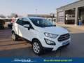 Ford EcoSport Trend 1.0 EcoBoost 100 PS-AndroidAuto-AppleCarP... Weiß - thumbnail 7