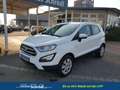 Ford EcoSport Trend 1.0 EcoBoost 100 PS-AndroidAuto-AppleCarP... Weiß - thumbnail 1