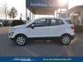 Ford EcoSport Trend 1.0 EcoBoost 100 PS-AndroidAuto-AppleCarP... Weiß - thumbnail 2