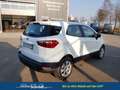 Ford EcoSport Trend 1.0 EcoBoost 100 PS-AndroidAuto-AppleCarP... Weiß - thumbnail 5
