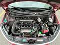 Suzuki Ignis 1.2 Dualjet 4WD All Grip TOP Rosso - thumbnail 15