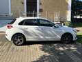 Hyundai i30 Prime Mild-Hybrid Kundenauftrag Weiß - thumbnail 4