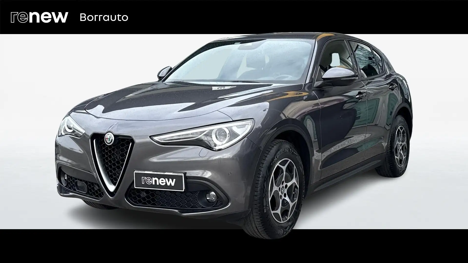 Alfa Romeo Stelvio 2.2 Turbo 190cv Business Q4 AT8 Grigio - 1