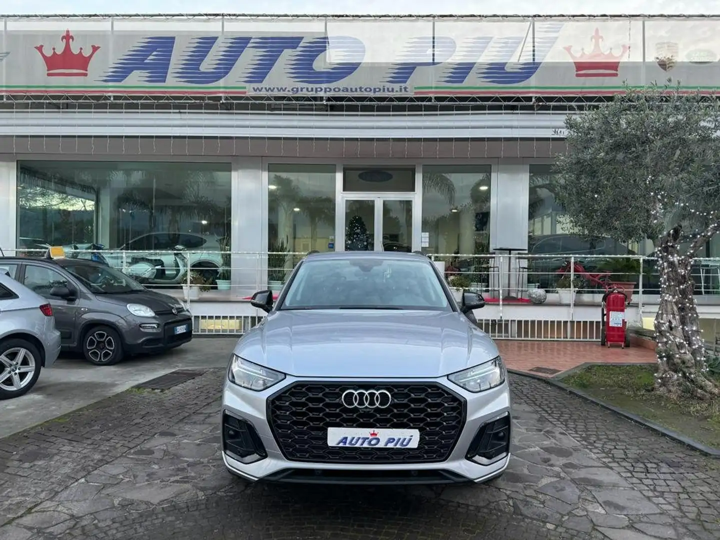 Audi Q5 spb Gris - 2