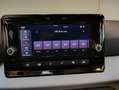 SEAT Arona Reference Edition 1.0 TSI Grau - thumbnail 17