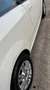 Fiat Punto Punto 3p 1.4 easypower Easy Gpl Bianco - thumbnail 11