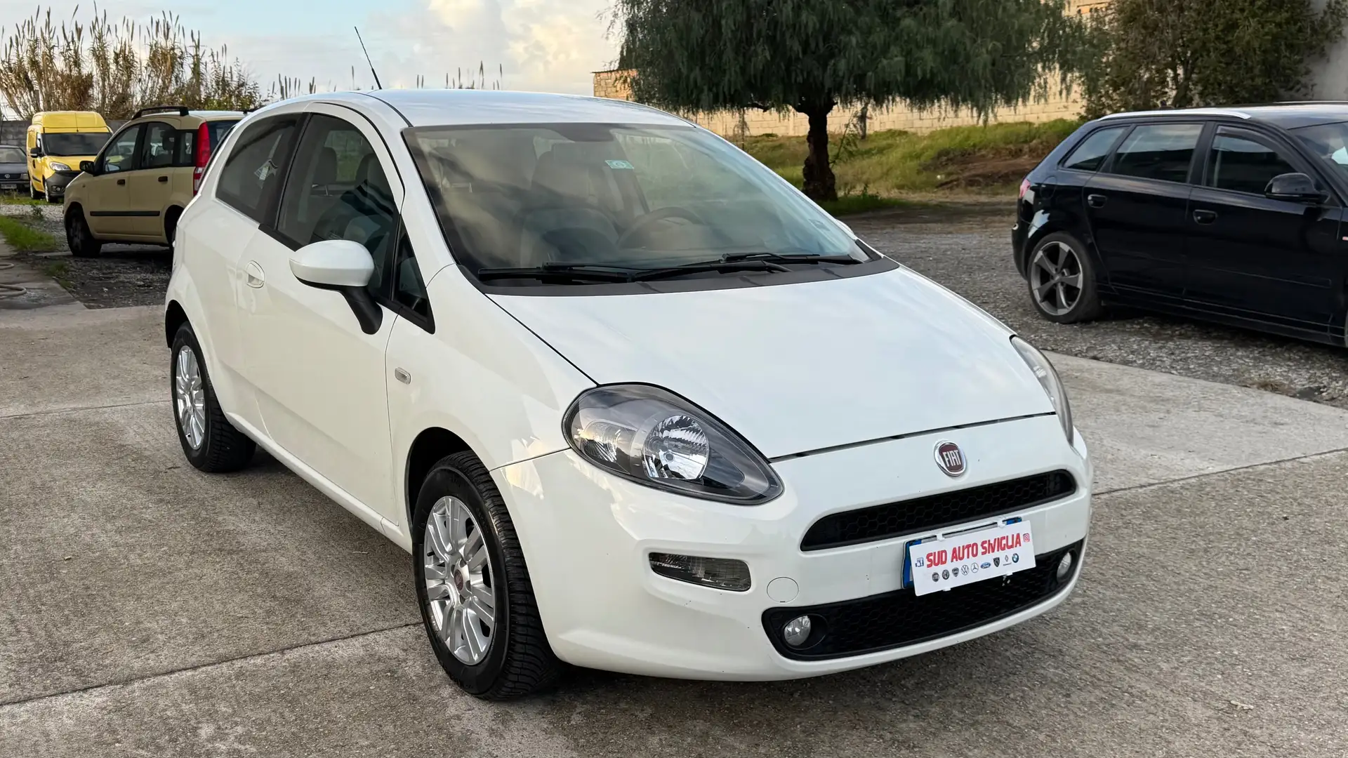 Fiat Punto Punto 3p 1.4 easypower Easy Gpl Bianco - 2