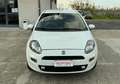 Fiat Punto Punto 3p 1.4 easypower Easy Gpl Bianco - thumbnail 9