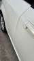 Fiat Punto Punto 3p 1.4 easypower Easy Gpl Bianco - thumbnail 12