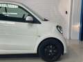 smart forTwo Cabrio 66 Aut. Weiß - thumbnail 10