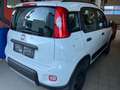 Fiat Panda Panda 0,9 Twinair Weiß - thumbnail 2