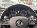 Skoda Superb Kombi 2,0 TDI Style DSG Grau - thumbnail 15