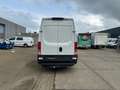 Iveco Daily 35S14V L3H2 Wit - thumbnail 6