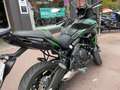 Kawasaki Versys 650 Grün - thumbnail 3
