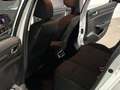Renault Megane 1.5dCi Blue Business 85kW Wit - thumbnail 14