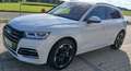 Audi Q5 Q5 50 TFSI e quattro S tronic sport Weiß - thumbnail 1