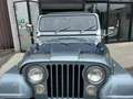 Jeep CJ-5 5.0  V8 BENZINA Blau - thumbnail 14