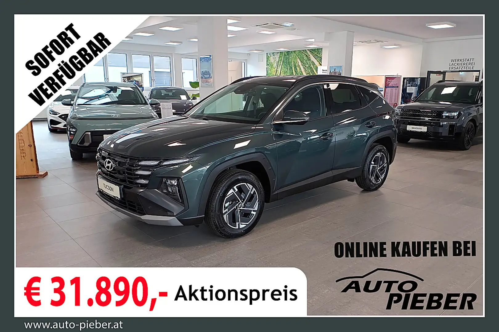 Hyundai TUCSON Tucson 1,6 T-GDI HEV 2WD Jubile *LED*Navi*Sitzh... Grün - 1