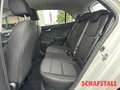 Kia Rio 1.2 Edition wenig KM Klima Radio PDC Freisprechanl Wit - thumbnail 15
