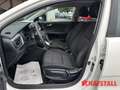 Kia Rio 1.2 Edition wenig KM Klima Radio PDC Freisprechanl Wit - thumbnail 10