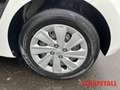 Kia Rio 1.2 Edition wenig KM Klima Radio PDC Freisprechanl Wit - thumbnail 14