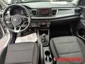 Kia Rio 1.2 Edition wenig KM Klima Radio PDC Freisprechanl Wit - thumbnail 13
