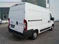 Fiat Ducato Multijet 120 2.3 JTD Hochraumkasten L2H2 Weiß - thumbnail 3