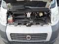 Fiat Ducato Multijet 120 2.3 JTD Hochraumkasten L2H2 Weiß - thumbnail 17